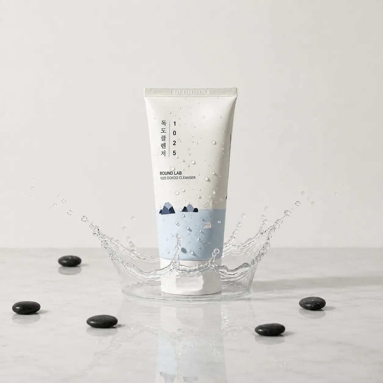 Round Lab Dokdo Cleanser